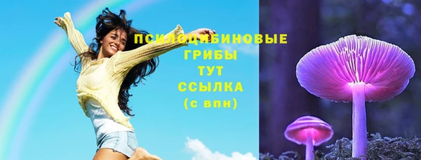 амфетамин Алексеевка