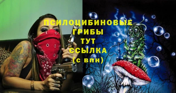 амфетамин Алексеевка