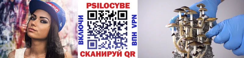 наркотики  Тосно  mega рабочий сайт  Галлюциногенные грибы Psilocybine cubensis 